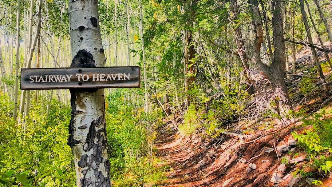 AphroditeFallen's tweet photo. Taking the stairway to heaven ✨️ 

#NatureBeauty #Naturelover #NaturePhotography https://t.co/dbwHWO7wHY