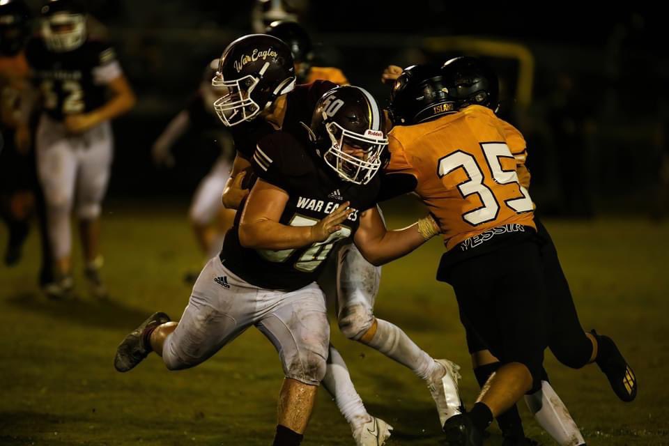 Action pictures🦅🦅