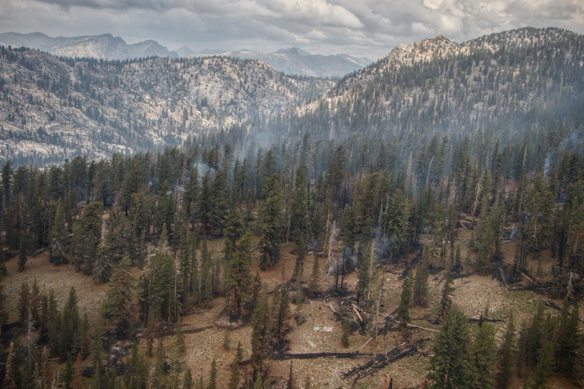 YosemiteFire's tweet photo. Today brought light rain across much of Yosemite, but very little lightning. As of this evening, no new strikes have been detected. Find more information on the #YosemiteSeptemberLightning at https://t.co/C3DyPLiyv4
Photo of the #RodgersFire by Kaleena Lynde, USFS https://t.co/Qj2AmhMVK0