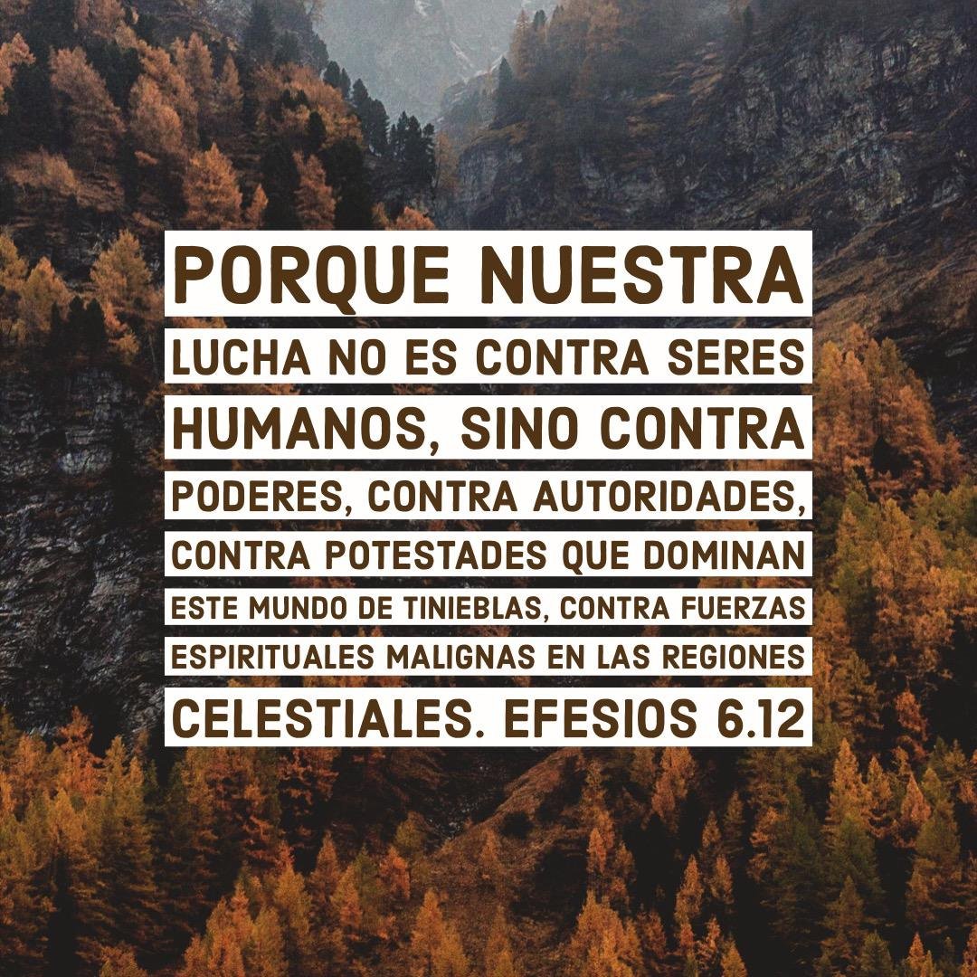 🫵Para que cuando llegue el día malo puedan resistir hasta el fin con firmeza. Manténganse firmes, ceñidos con el cinturón de la #Verdad