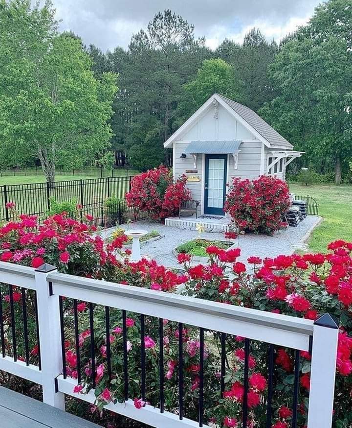 Every day is different, some days are better than the others, but no matter how challenging the day,  you must get up, dress up and live it. 🏕🥀🌹🏕