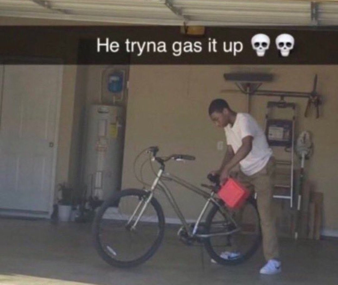 pianocats tweet media