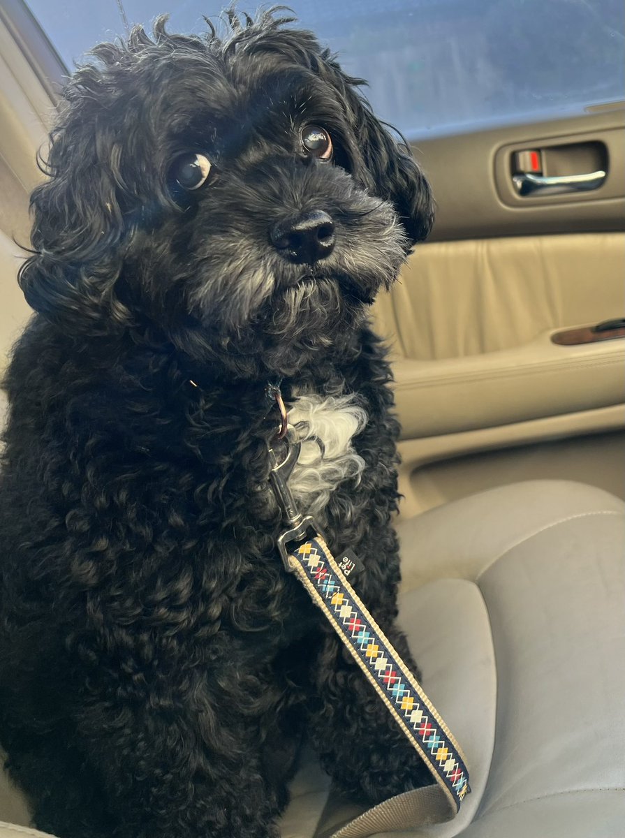 soooo  how long have you had a driver’s licence, mum?😳