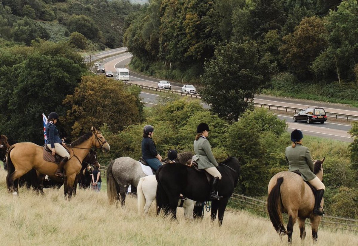 HRHPWales's tweet photo. A line up of horses to say a final goodbye and honor Queen Elizabeth II while she made her last journey through Scotland earlier today 🤍 https://t.co/0ilpJVAsaO