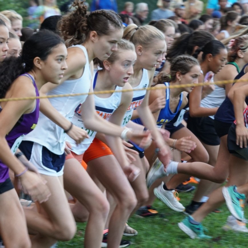 Justice Wolves Cross Country tweet media