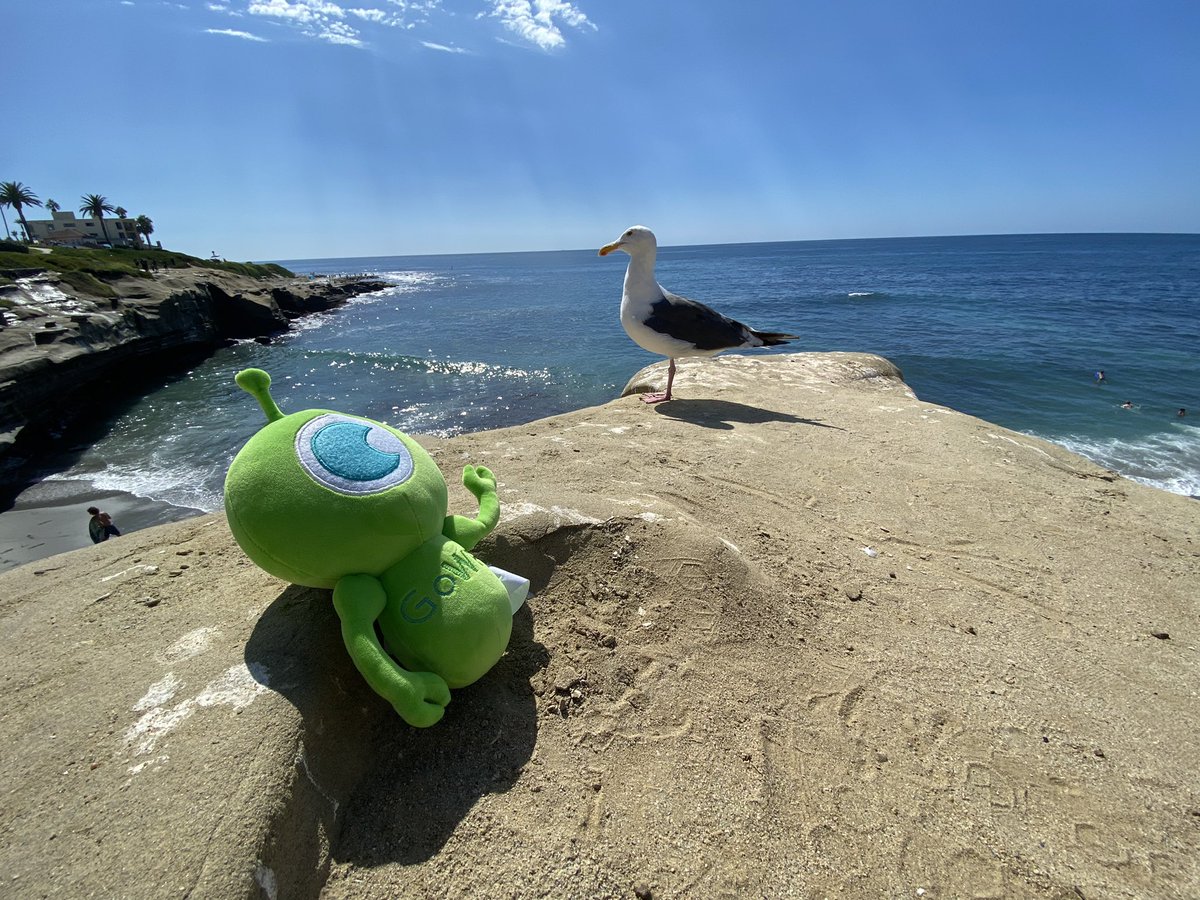 GoWP — Helping agencies grow and scale tweet media