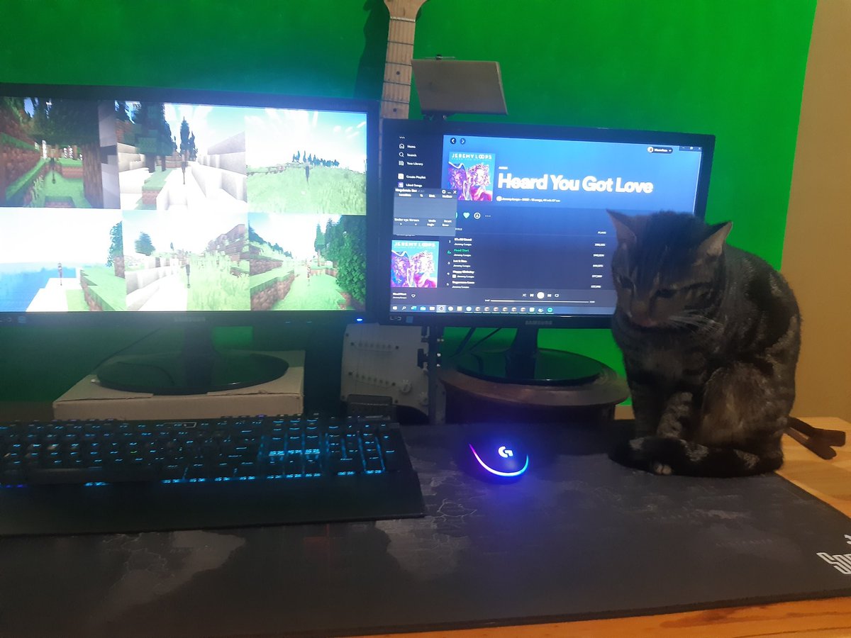 MCSR Cats tweet media