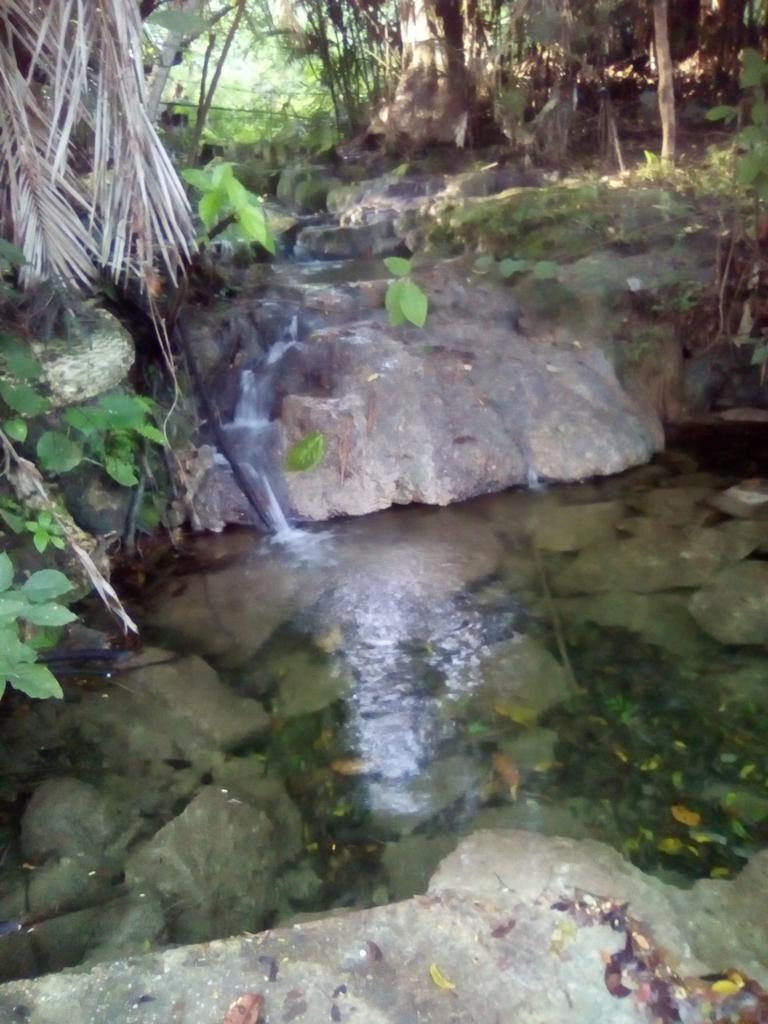 LuqueOmaira's tweet photo. Heyyy! Les comparto imágenes de mi campo hermosooooooo.
#Bitubu
#Chejende
#Trujillo https://t.co/ALVGUdFIgE