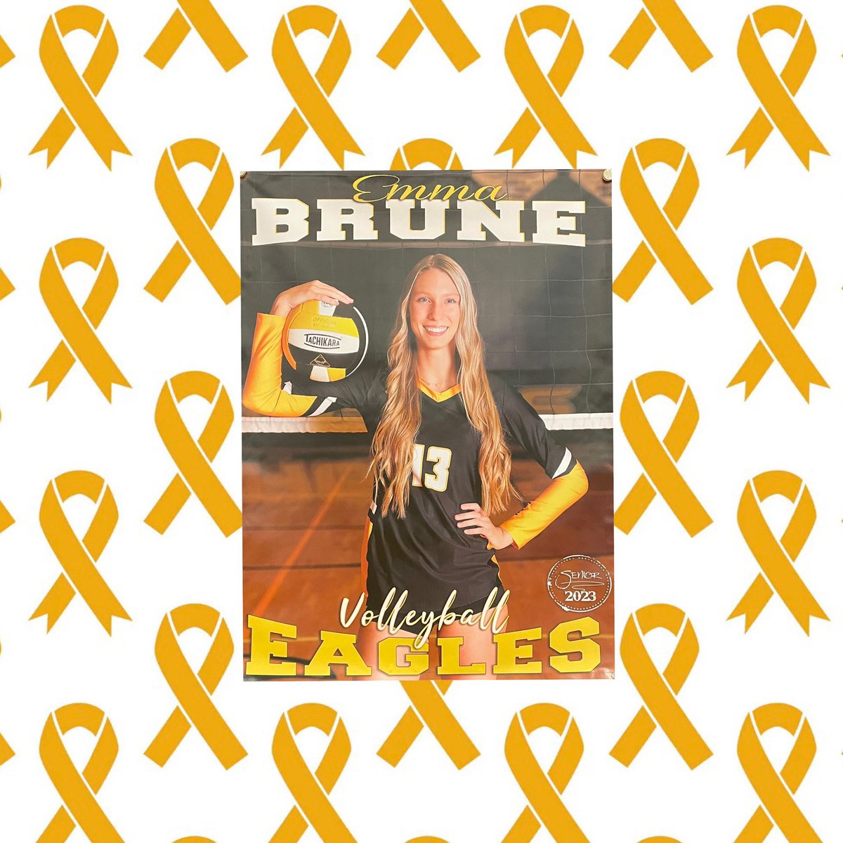 Eagles_VBall's tweet photo. This year’s Serving Up a Cure is extra special!  Our very own Emma Brune is a childhood cancer survivor.  Emma battled retinoblastoma and as a result is blind in her right eye.  Emma certainly knows how to overcome adversity, and she amazes us every day💛 https://t.co/inp8u90A9M