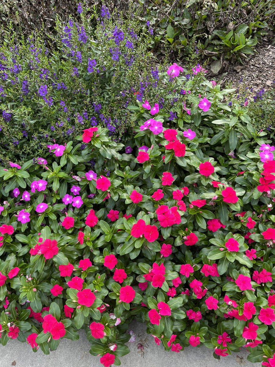 Natagold12's tweet photo. #COLOR #WDC63022 https://t.co/nQiRhr7De9