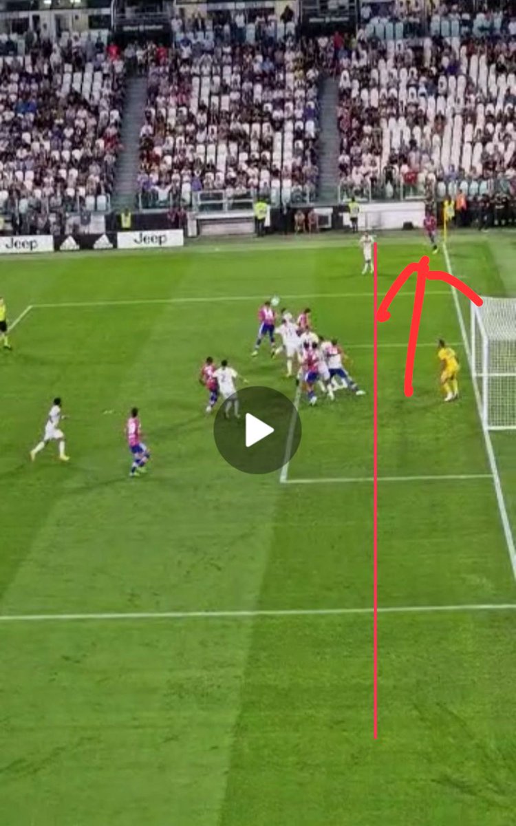 PeppeAdonia1's tweet image. .