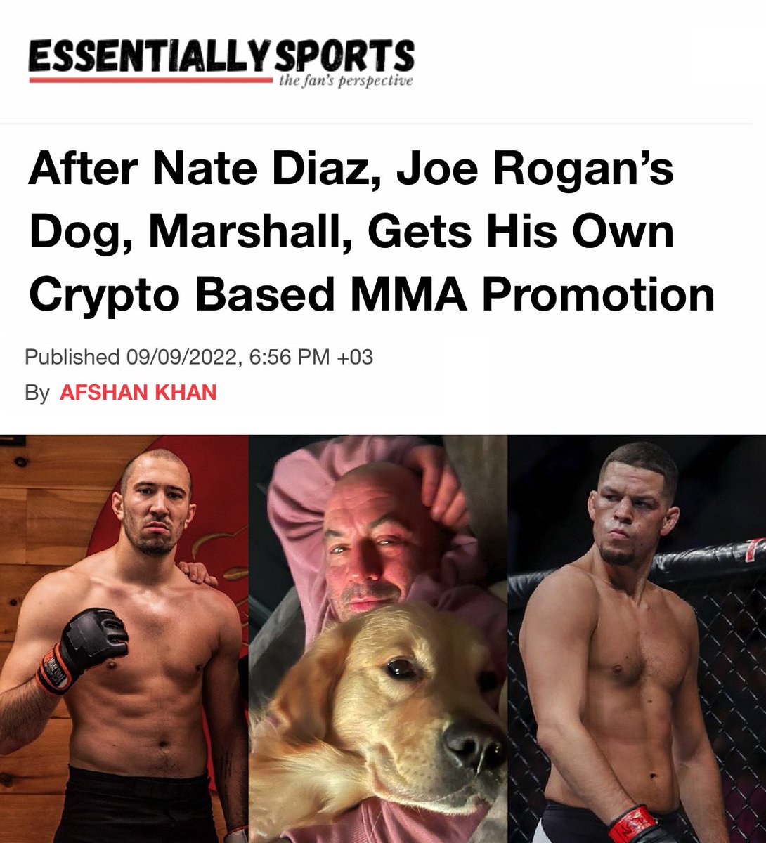 Dave Leduc tweet media