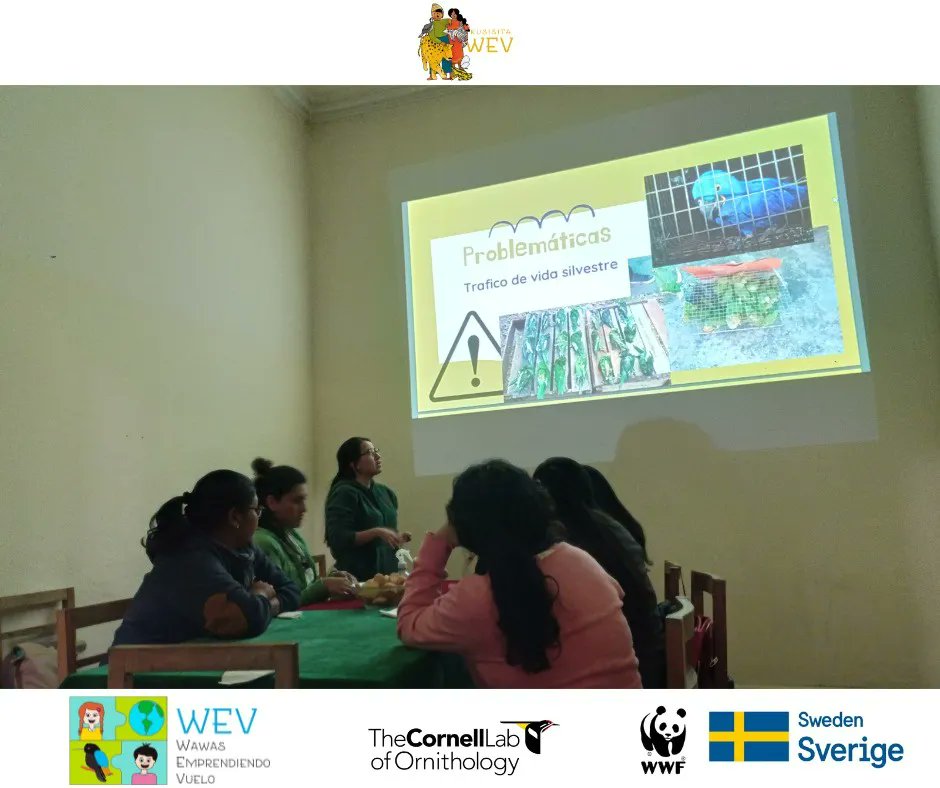 WVuelo's tweet photo. Dentro del trabajo con otras ramas y profesionales estaba planificado un intercambio interdisciplinario... ✨🌞
Más de una sesión con mucho éxito! Aquí les dejamos fotitos del primer encuentro...  ✨🔥🌎

#WEV
#wawasenvuelo
#educacioninclusiva 
#birds
#kusisitawev https://t.co/vQKxgKxeLm