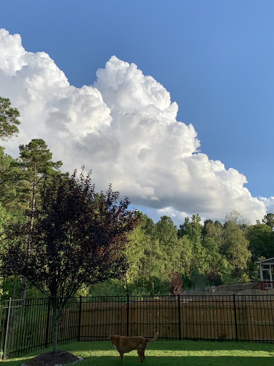 danakwatson's tweet photo. Amazing clouds right now. https://t.co/vqaZIV1z2M