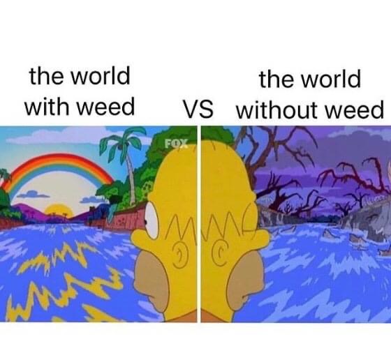 JADsMHS's tweet photo. Jadโs, Coloradoโs first #cannabar vs. a regular bar ๐๐จ๐จ๐จ๐จ #sundayfunday #stoners #lifted #comesayhigh #denver #coloradofun https://t.co/UPbkhl3Grg