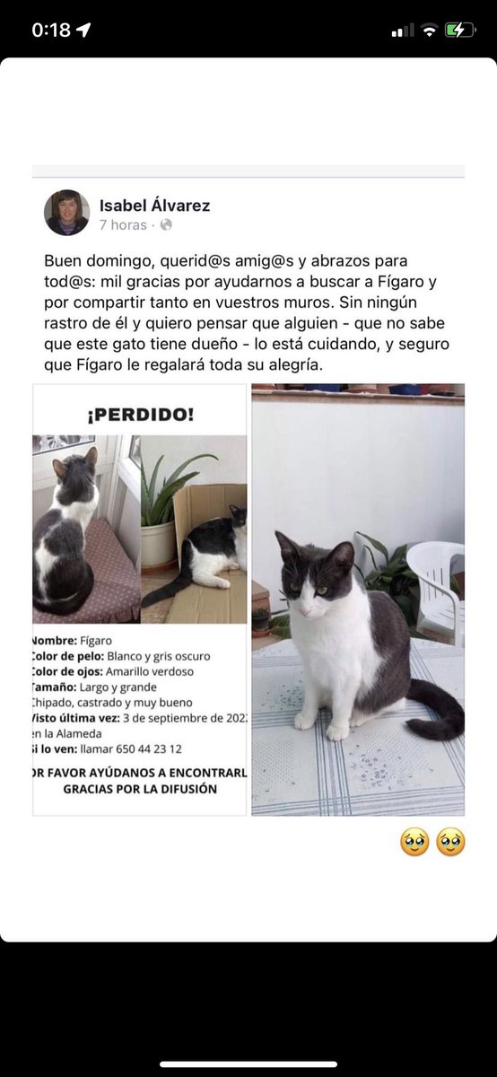 Imlcc1's tweet photo. Por favor , difundir , cualquier información:@anggggggggggela 🥹🥹♥️♥️♥️ https://t.co/kY3FYwfGiY
