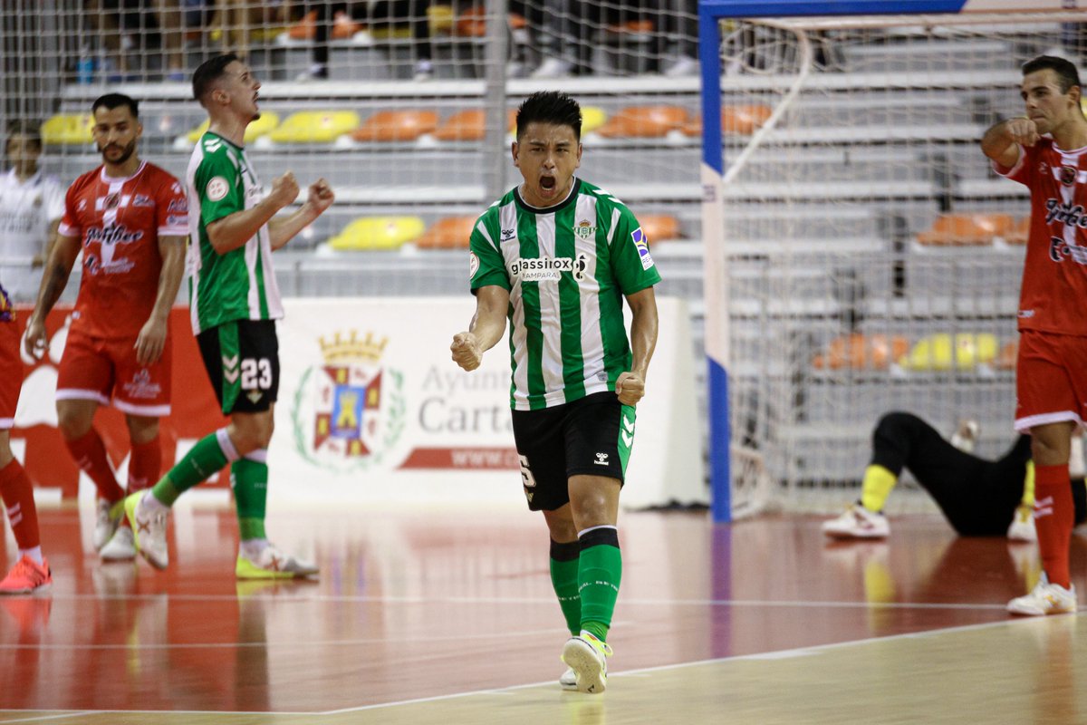 Proneo Sports・プロネオ tweet media