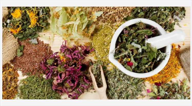 HealthEmbassy's tweet photo. Vaporization - a natural way of supporting conventional medicine treatments #Vaporization #herbsforvaporization #vaporizeherbs #smokingherbs #smokingblendherbs #smoking #cannabis #marijuana #cigarette #joint #highlife #smokeweedeveryday #howtoquitsmoking https://t.co/rnprkzUTwv https://t.co/f01PPeQ724