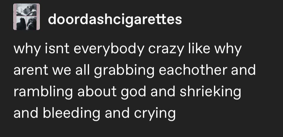 spingus (@ratklns) on Twitter photo 