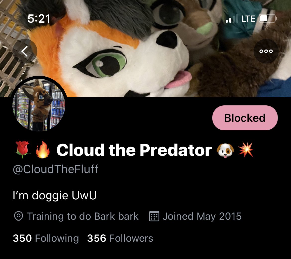 🏳️‍⚧️𝔅𝔞𝔰𝔱𝔞𝔯𝔡 ™🇲🇽 @TFF on X: ❌BEWARE USER @CloudtheFluff❌  Recently bought a DHC suit, also close friends with @devpaws, a cub p0rn  artist who also recently bought his partner a DHC suit. Cloud