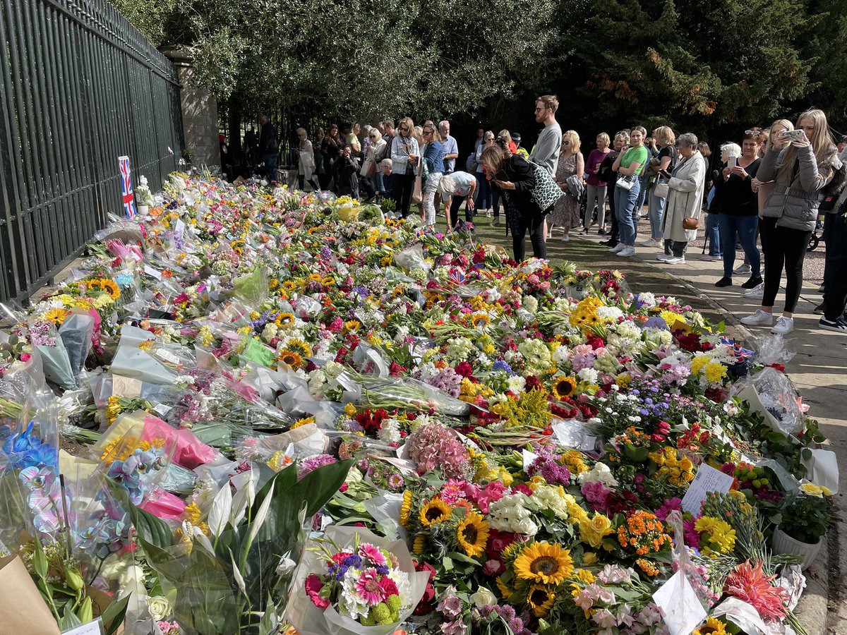 Charlene Sharp tweet media