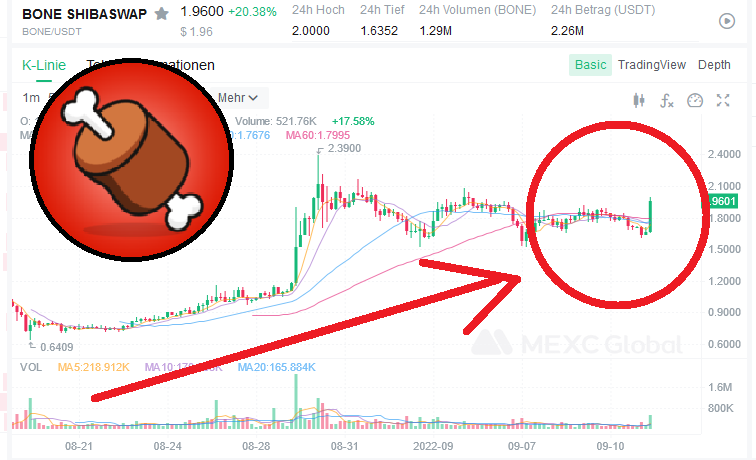 DigitalWilly's tweet photo. #SHIB #LEASH #BONE #SHI #SHIBASWAP 

Look what our $BONE ShibaSwap token just did. This are actually just some of the first moves. We all will be shocked when $BONE really starts to move up. #BONE to the moon. https://t.co/Y4HJTblekS