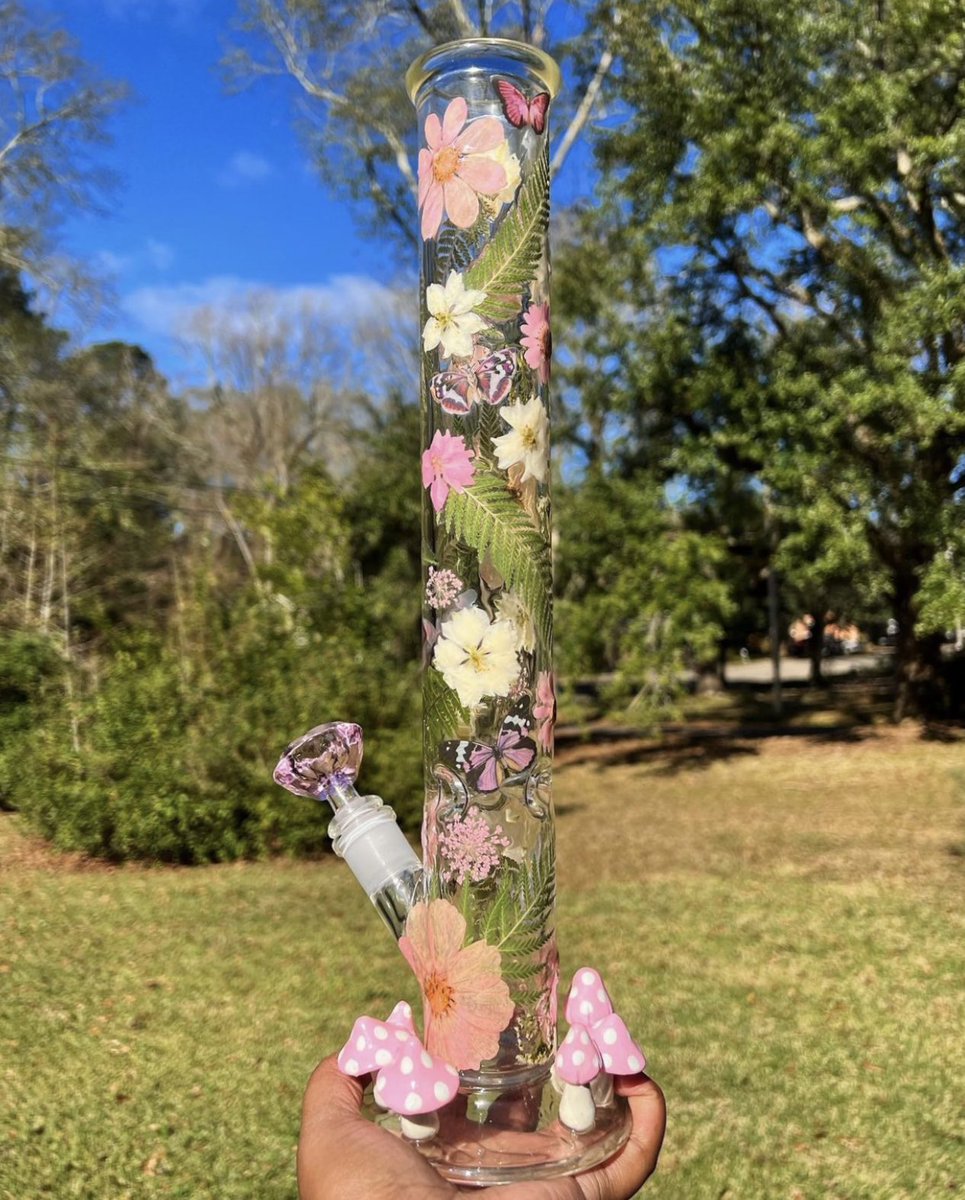 Mushies 🍄🤍🌸