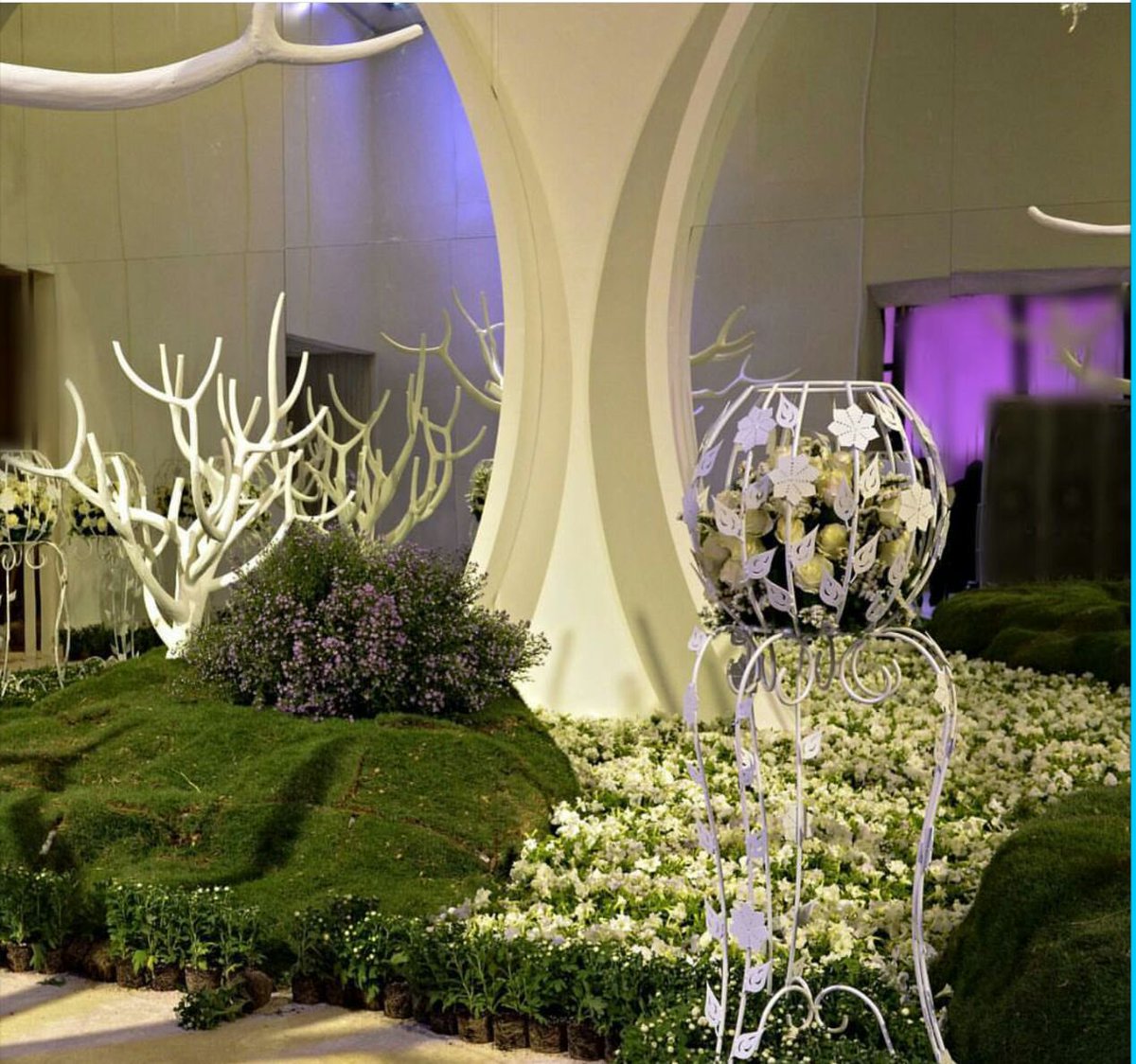 ون سيتي للأحتفالات 🎊. (@new12345666) on Twitter photo 