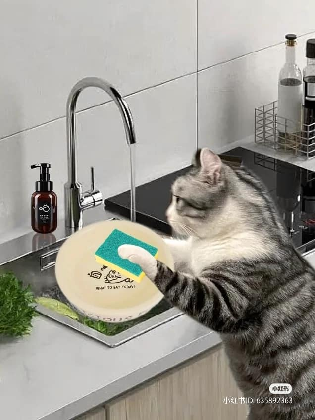CatWorkers's tweet photo. (Housework is work.) https://t.co/Xh0N6Kj1LQ