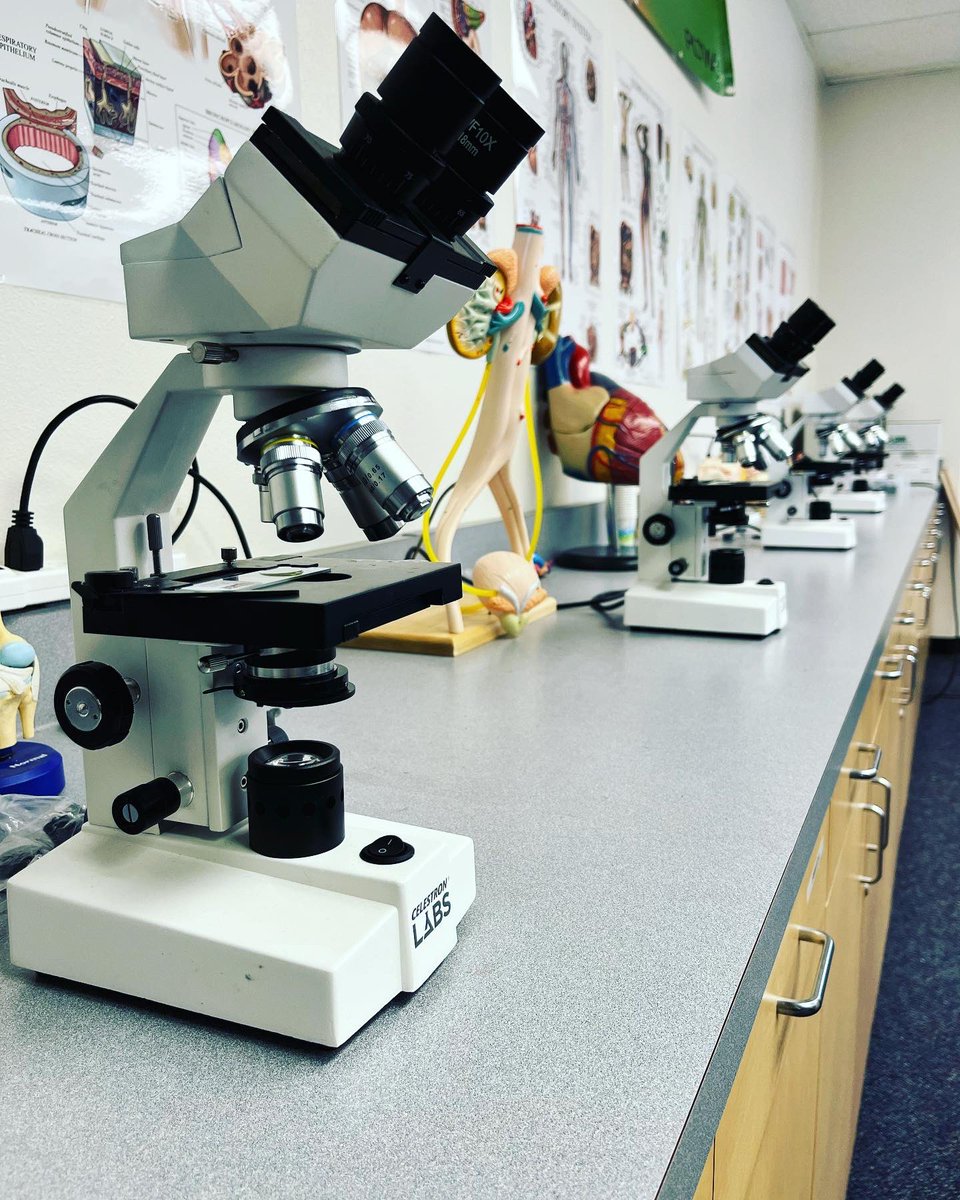 FranklyScience's tweet photo. #FranklyScience #PLTWBiomed706 #designER #AnaGarciaCasePLTW https://t.co/eSwJ8nFlUG