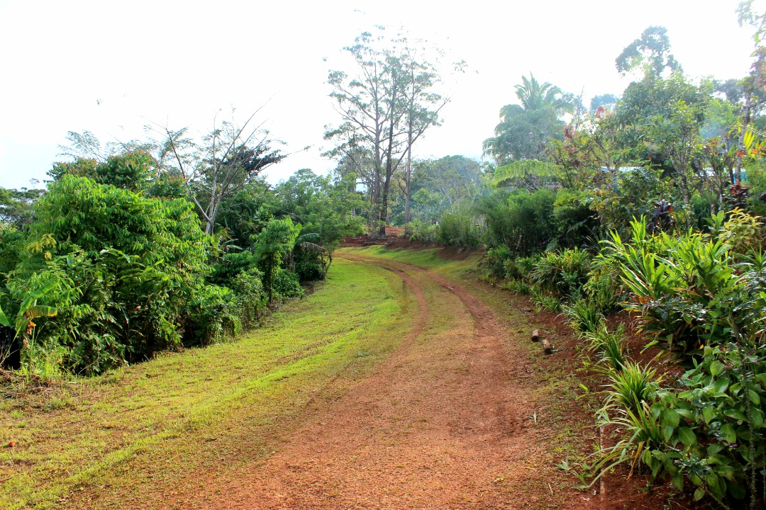 rox_kande's tweet photo. This is my home, or hae nane as we Kâte people would say.

pic: Angoric village, Wareo, Kâte LLG, Finschhafen 
@tongamp_g https://t.co/eKmWK37dBN