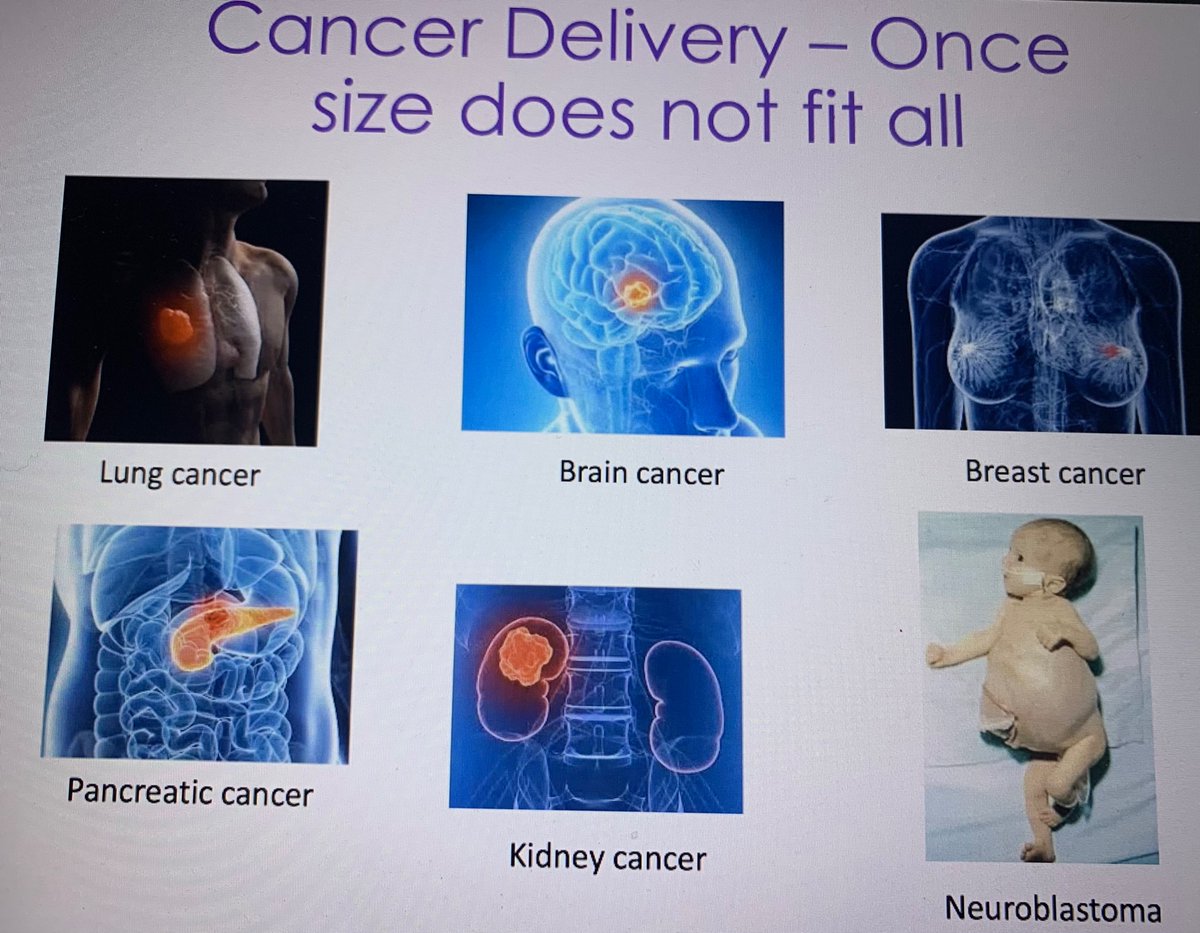Precision Nanomedicine for childhood cancer. Can we silence genes in tumours using nanoparticles delivery revealed Prof. Maria Kavallaris AM, Australian Centre for NanoMedicine Director, UNSW &amp; Head of Translational Cancer Nanomedicine Theme at Children’s Cancer Institute.