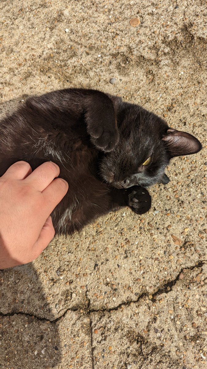 Zak The Mars Resident tweet media