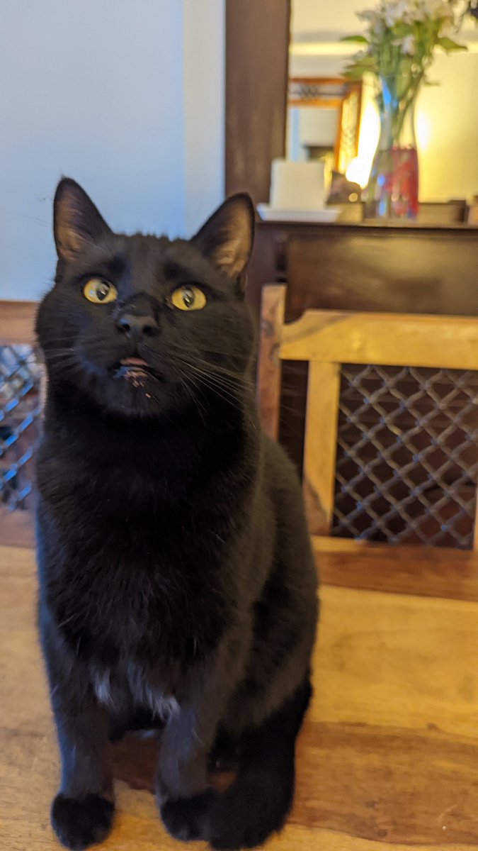 Zak The Mars Resident tweet media