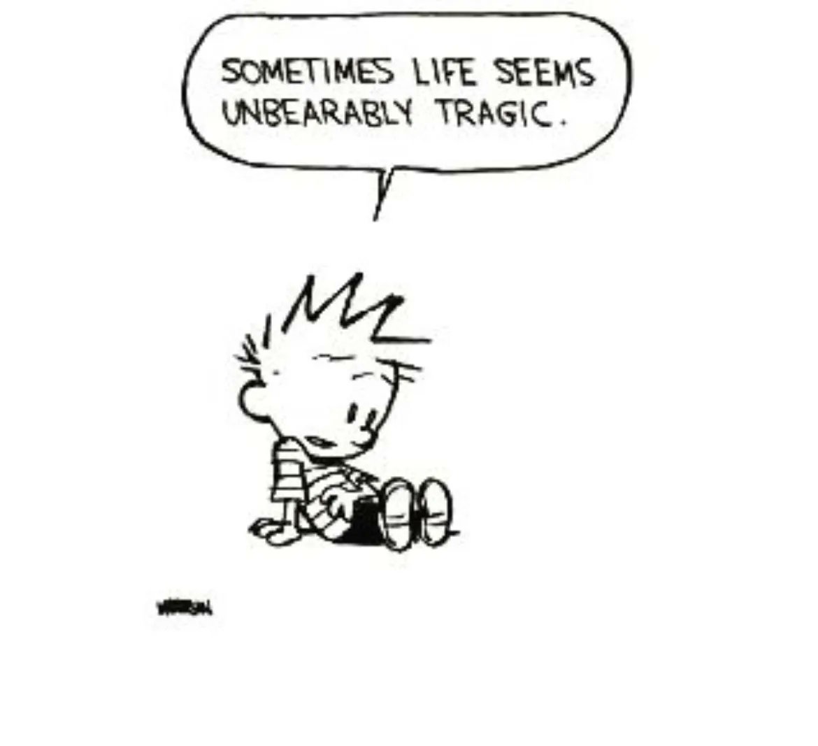 Some days… #CalvinandHobbes