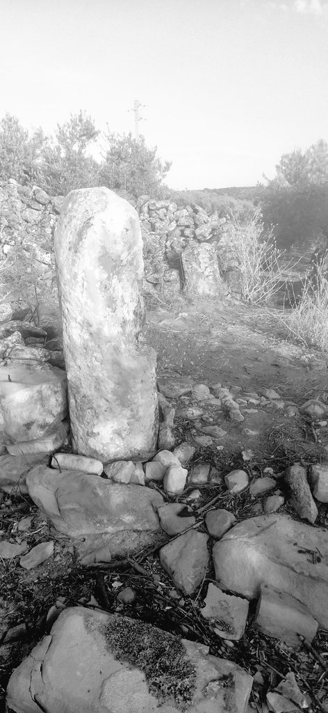 Arturodelp's tweet photo. #Miliario(s) anepigráfico(s) romano en #Porcuna. Hacía 20 años o más que no lo visitaba. Ya os contaré más en los próximos días. https://t.co/4jGp4WjTc2