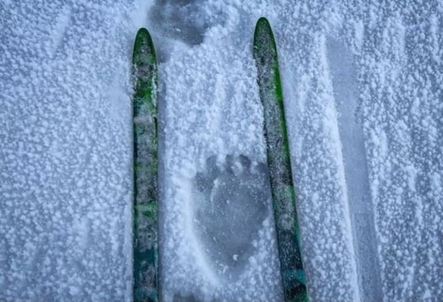 mike explorer (@mikenorman66) on Twitter photo 