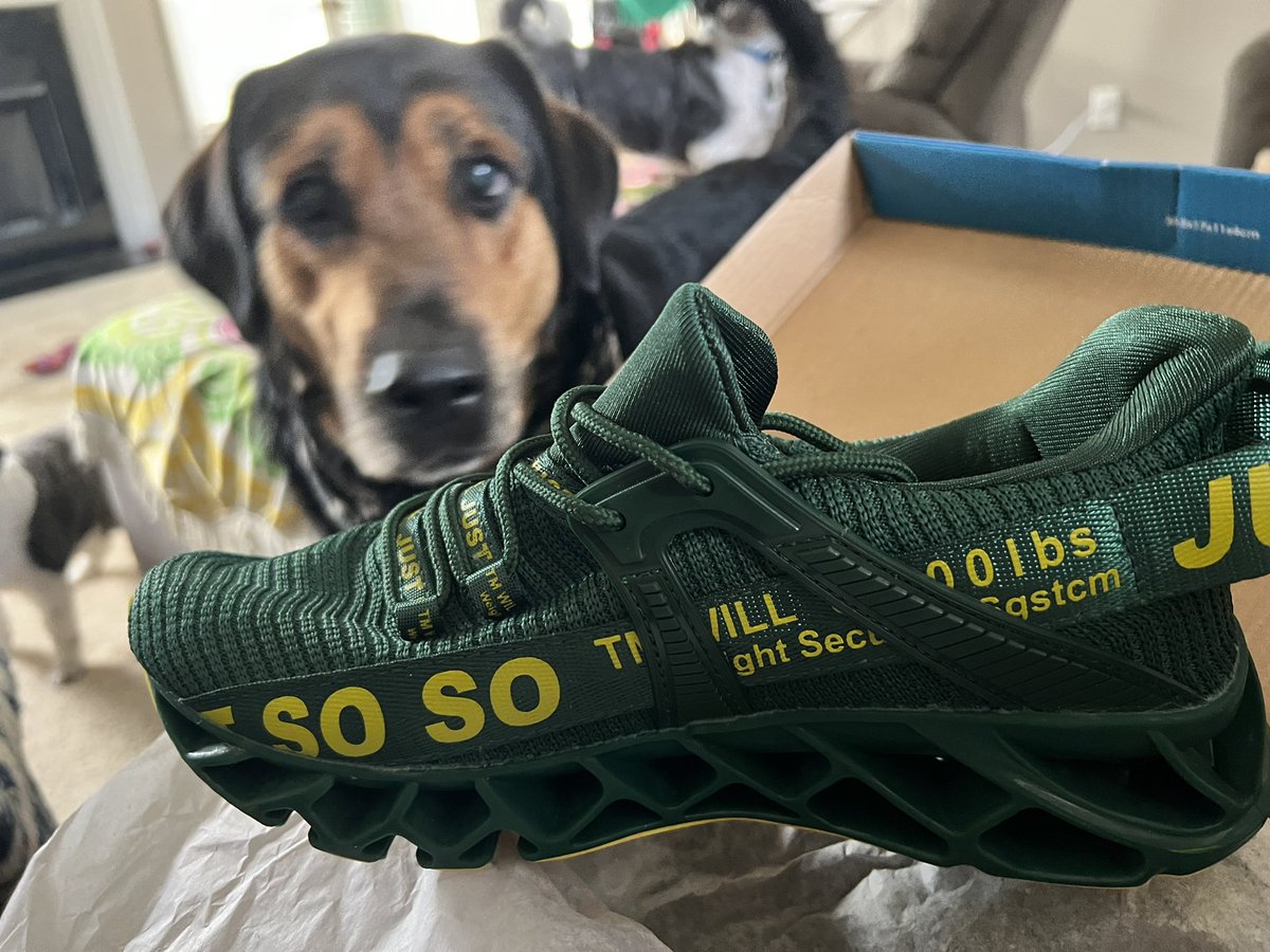 scrnwriterchic's tweet photo. I went sleep shopping again! Dog not included #sleepshopping #soso #shoes https://t.co/PZoqOB5lwM
