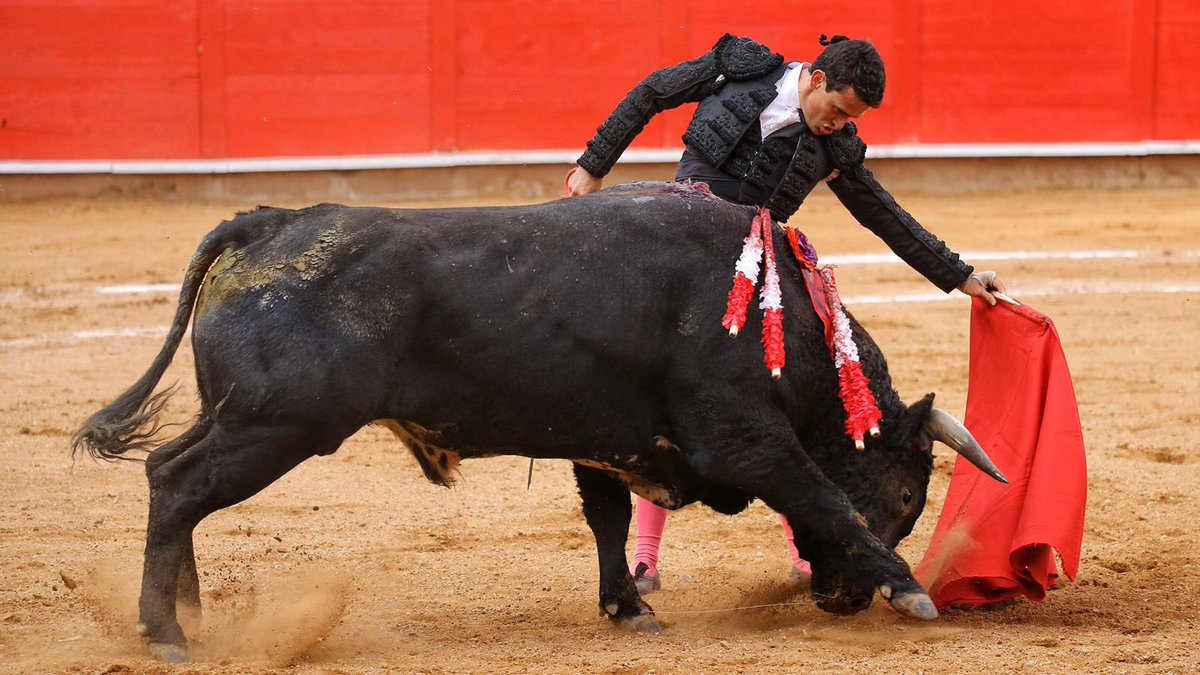 NTR Toros tweet media