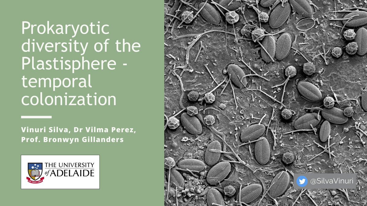 Vinuri Silva (@silvavinuri) on Twitter photo Presentation ready ✅ next up ✈️ to Busan, South Korea to attend <a href="/UNEP/">UN Environment Programme</a>’s #7imdc. If you’re attending, be sure to come say hi & checkout our session TS-2.3 to learn about microbes that live on plastic, aka the #plastisphere. See you soon 7IMDC! <a href="/BronGillanders/">Bronwyn Gillanders</a> @KathyWillis_ Presentation ready ✅ next up ✈️ to Busan, South Korea to attend <a href="/UNEP/">UN Environment Programme</a>’s #7imdc. If you’re attending, be sure to come say hi & checkout our session TS-2.3 to learn about microbes that live on plastic, aka the #plastisphere. See you soon 7IMDC! <a href="/BronGillanders/">Bronwyn Gillanders</a> @KathyWillis_