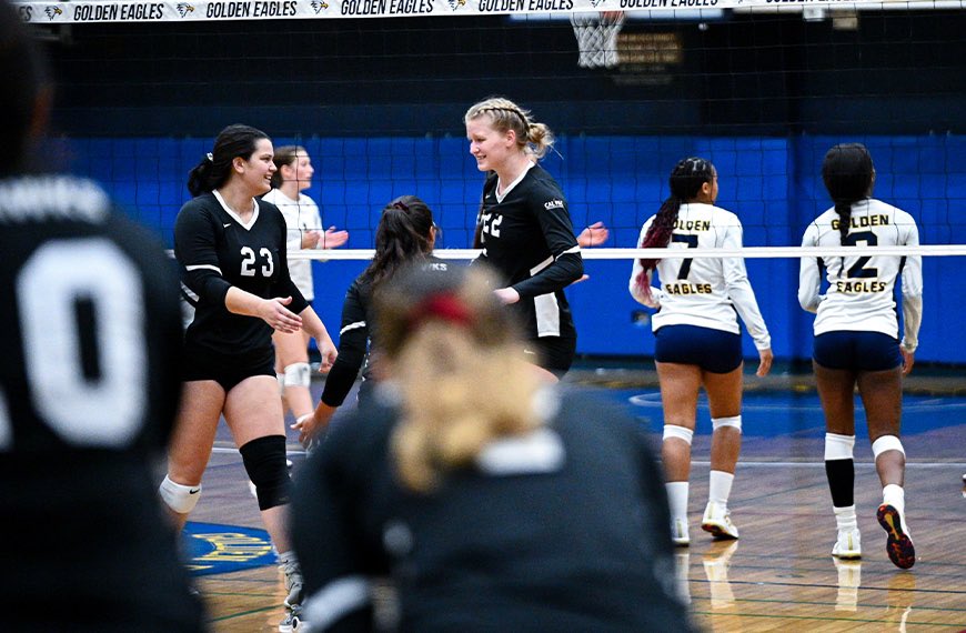Mesa_Redhawks's tweet photo. WVB: Redhawks Outlast Golden Eagles in Five, Bartel Notches Triple-Double

- https://t.co/AErbjcXFG1 

#GoRedhawks https://t.co/M38uT7zNtS