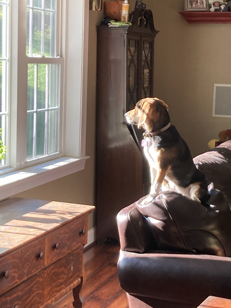 Bob Betchyk tweet media