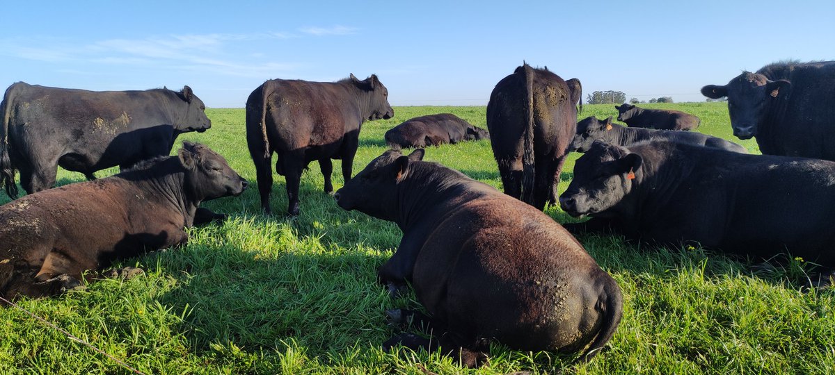 Ramiro García Pintos tweet media