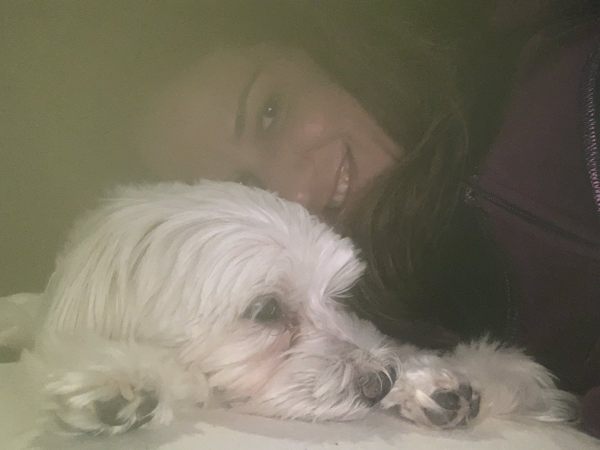PuppyCapone's tweet photo. Rainy Sunday snuggles 🤍 https://t.co/cwVJRJEXpf