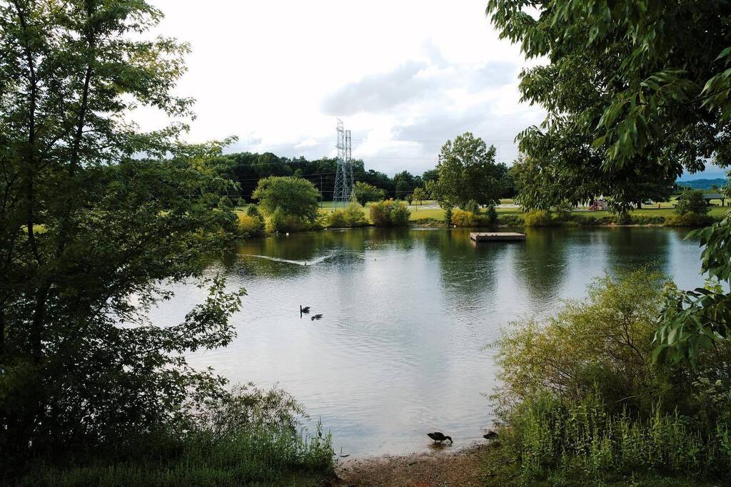 NickDrudge's tweet photo. Lovely evening at Community Park https://t.co/cbHLuHogT6