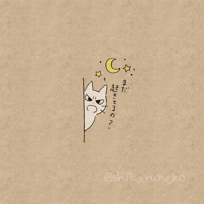 夜ふかしさんを叱ってくれる猫 
