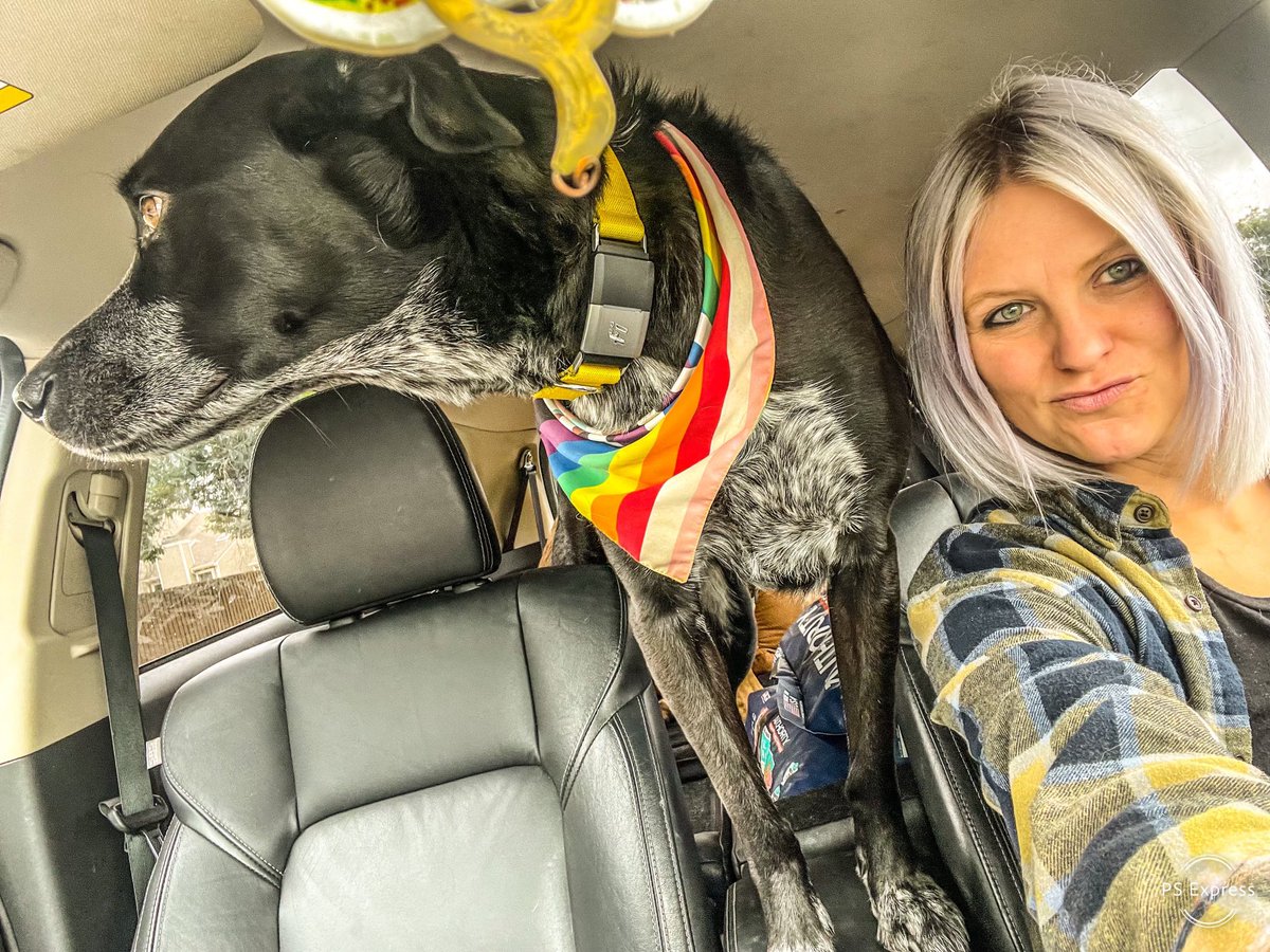 PAWsitiveRecov1's tweet photo. Pawsitive Recovery was at the Sober Souls MC 8th Annual Hornbuckle Foundation fundraiser! The Hornbuckle Foundation put up a Poker Run September 10th. Read More here - https://t.co/Zcr3xDned6 #hornbucklefoundation #hardbeauty #sobersouls https://t.co/gnKlOLCi83