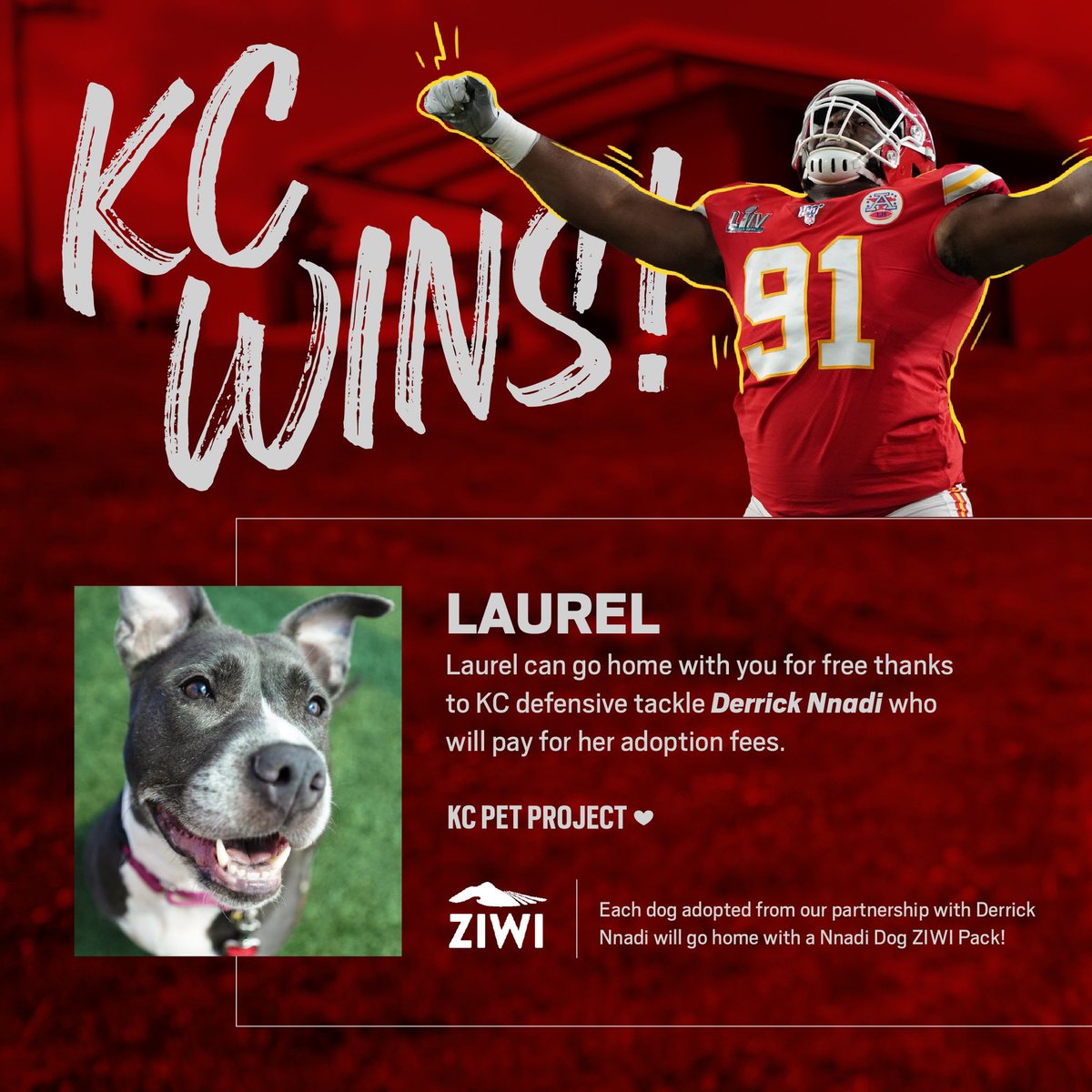 kcpetproject's tweet photo. First Chiefs win = First Nnadi Dog!
Laurel has been crowned as this week's #NnadiDog! That means that Kansas City Chiefs defensive tackle, @DerrickNnadi has paid for her adoption fee! https://t.co/xPmJd18HmI