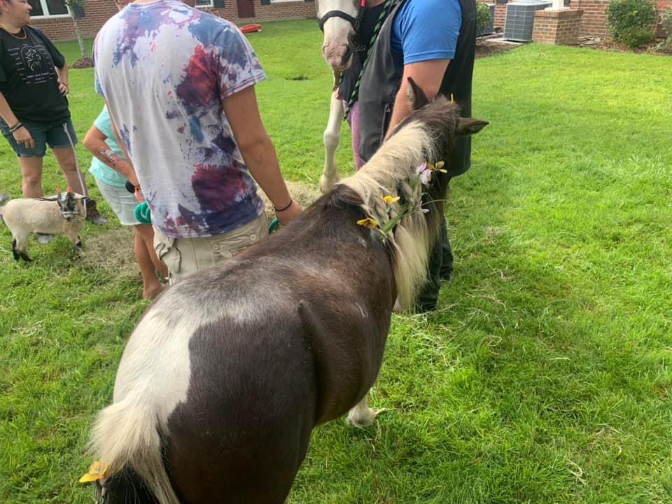 Sunday Funday w/ Harmony Assistant Living on Clemson Rd.