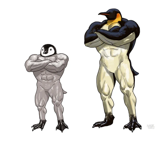 皇帝ペンギン。親子。#動物レスラー 